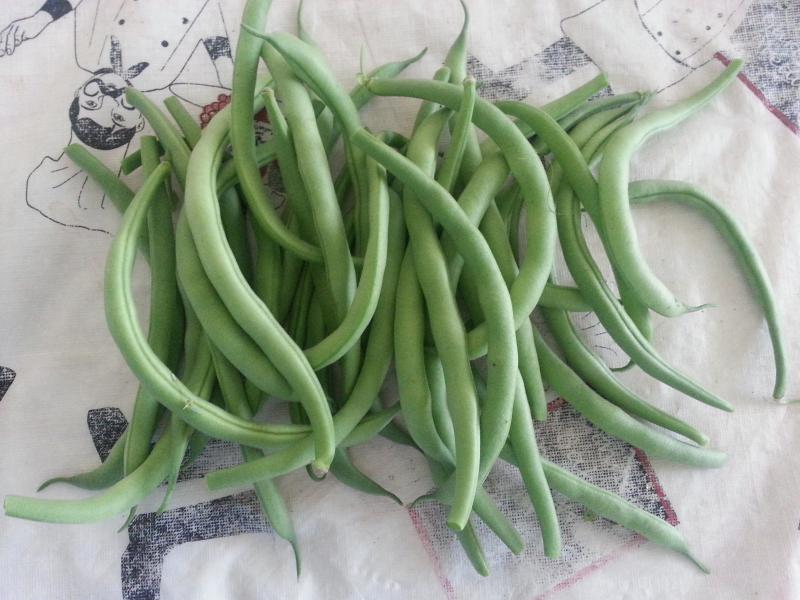 String Beans